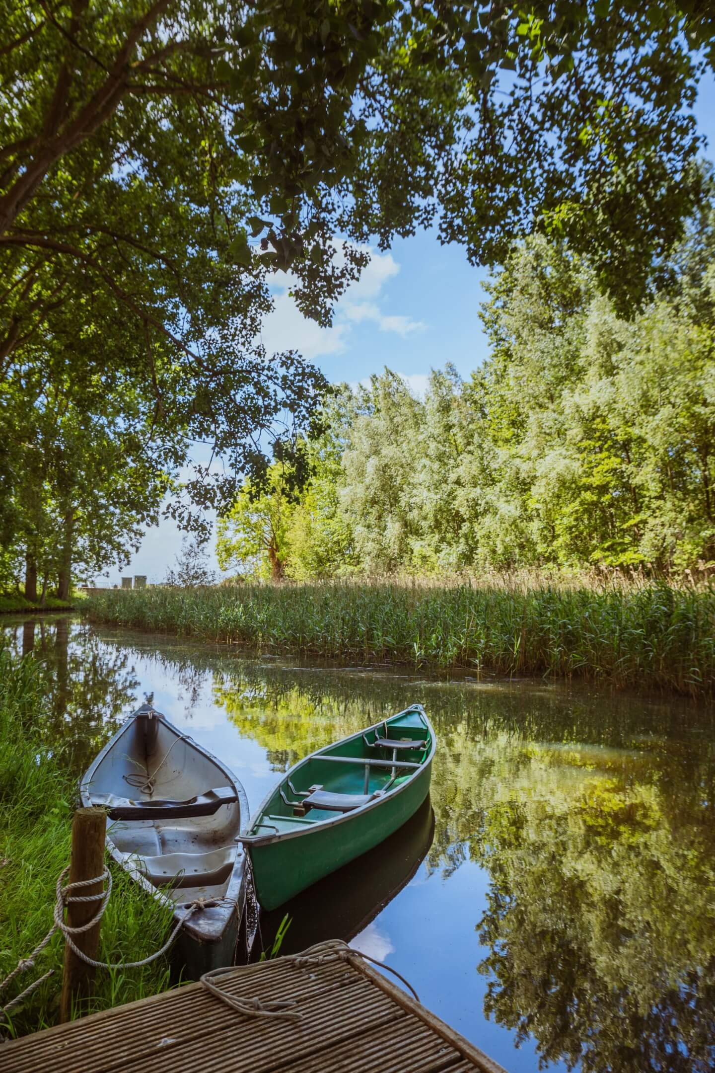 Twee kano's aangemeerd aan een kalme Moerdijk rivier met weelderige bomen en hoog gras - ideaal voor een rustige ontsnapping.
