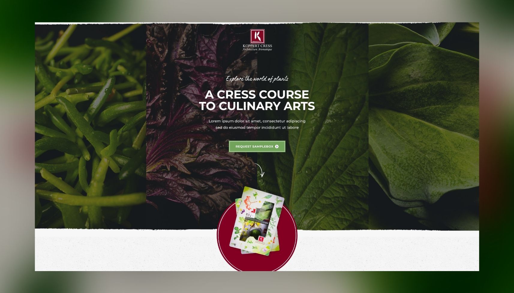 Banner met felgroene bladeren: "So Syncd Culinary Crash Course" met hieronder een voorbeeld van het boekje.
