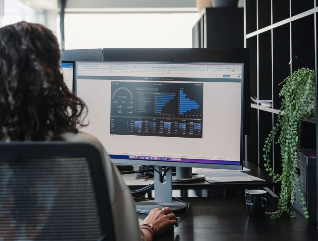 Bureauopstelling: Persoon analyseert datagrafieken op een computer, plant siert de plank.