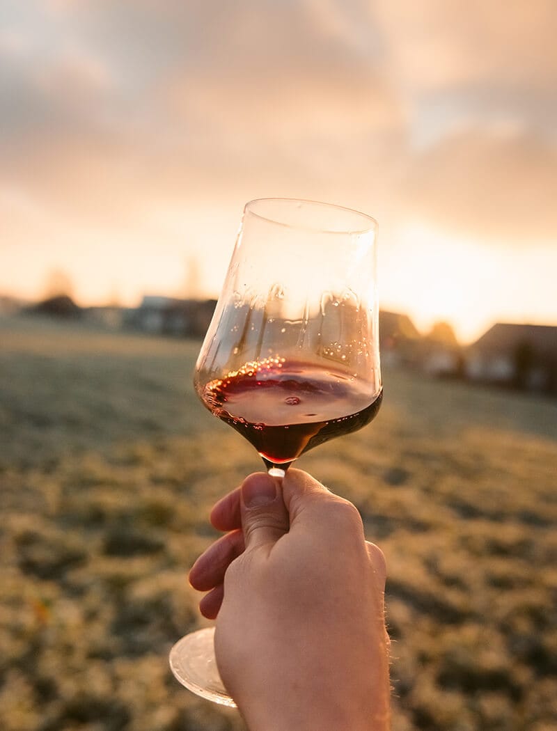 Een hand houdt elegant een wijnglas Les Bulles Enchantées vast, terwijl de rode glans oplicht tegen een zonsondergangveld.