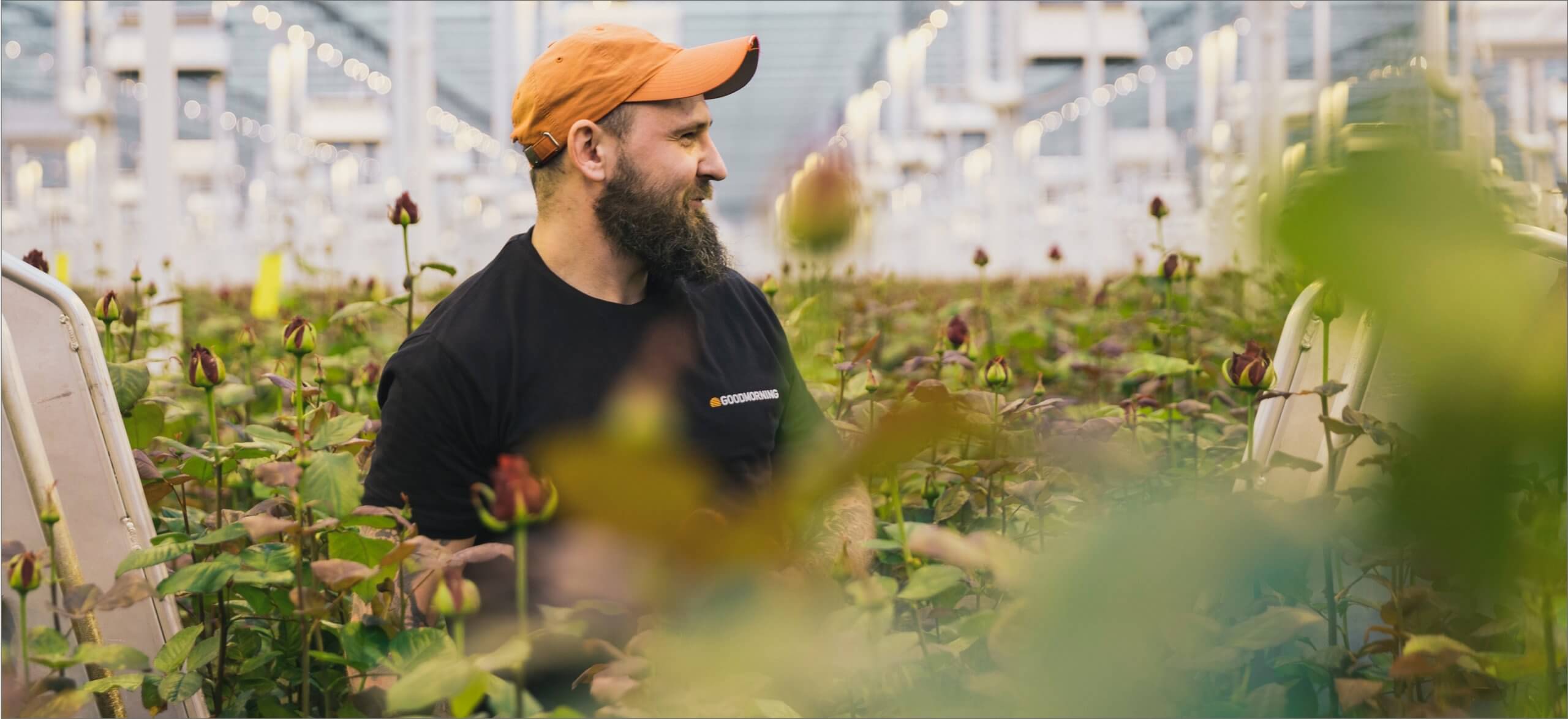 Goedemorgen! Een man in een oranje pet en zwart shirt staat te midden van weelderige planten in een kas.