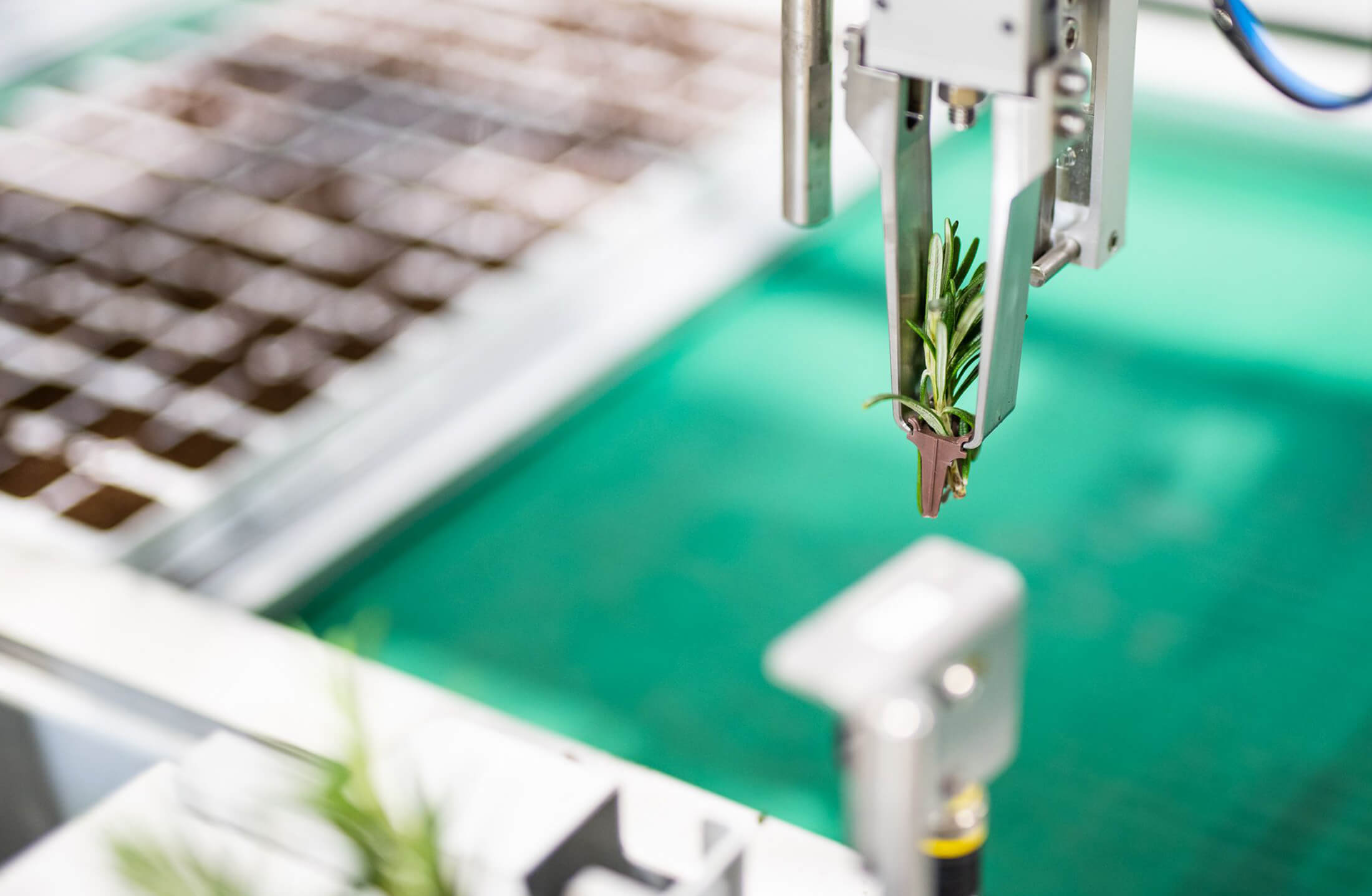 Een robotarm van Viscon Group plant een zaailing in een grondraster op een felgroene schaal.