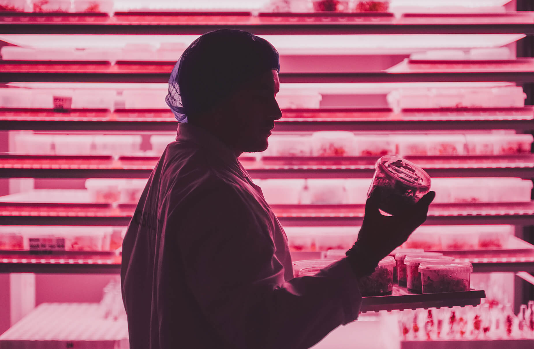 In een roze verlicht laboratorium inspecteert een figuur in pak een container, wat een voorbeeld is van de precisie en innovatie van Viscon Group.