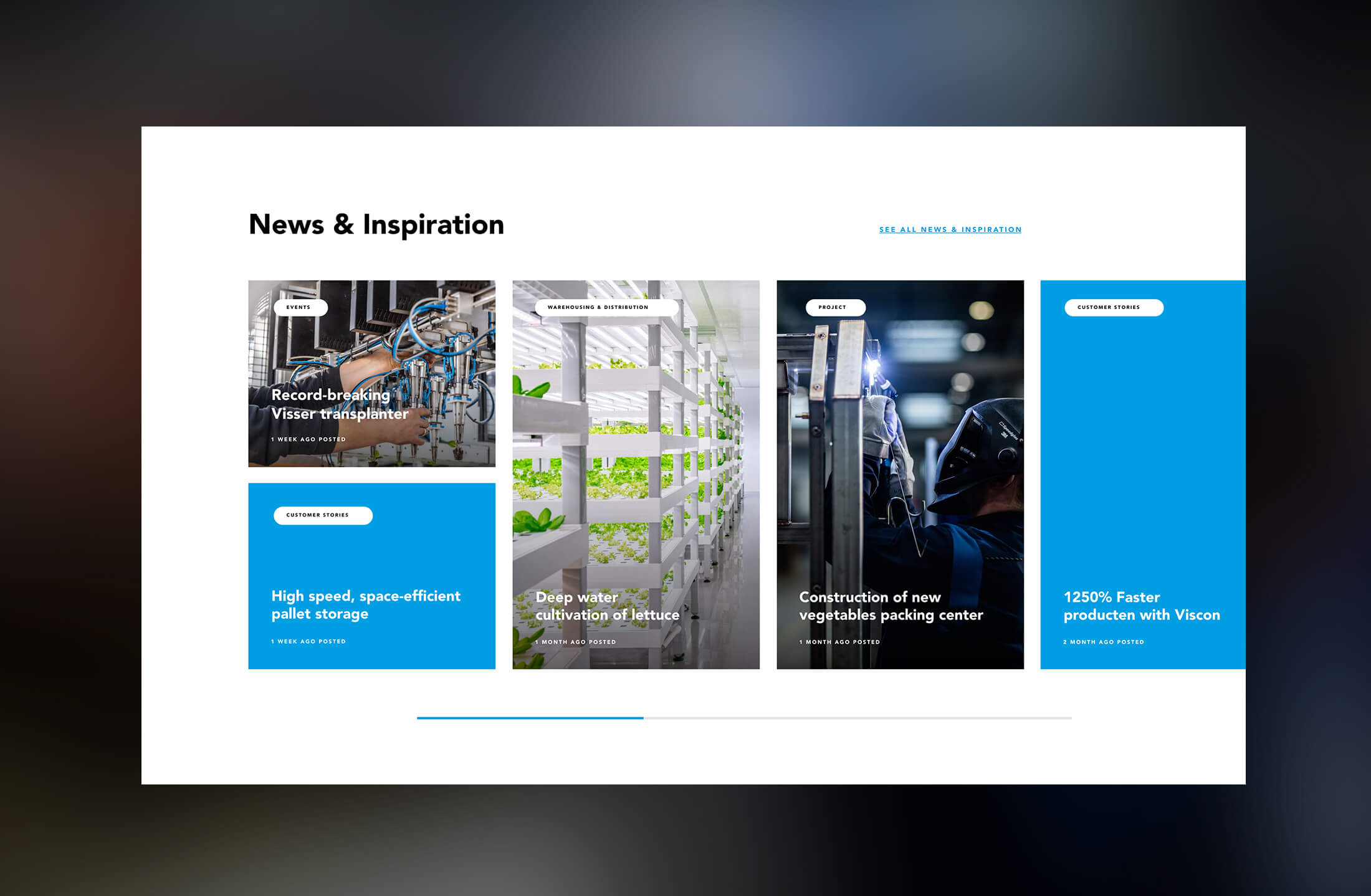 Ontdek de innovaties van Viscon op het gebied van palletopslag, -teelt, -verpakking en -productie met afbeeldingen op onze site.