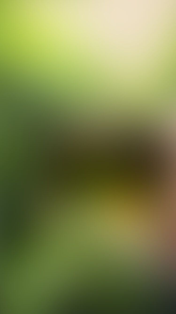 Abstracte groen-bruine achtergrond met gradiënt: zachte vervaging en moderne esthetiek.