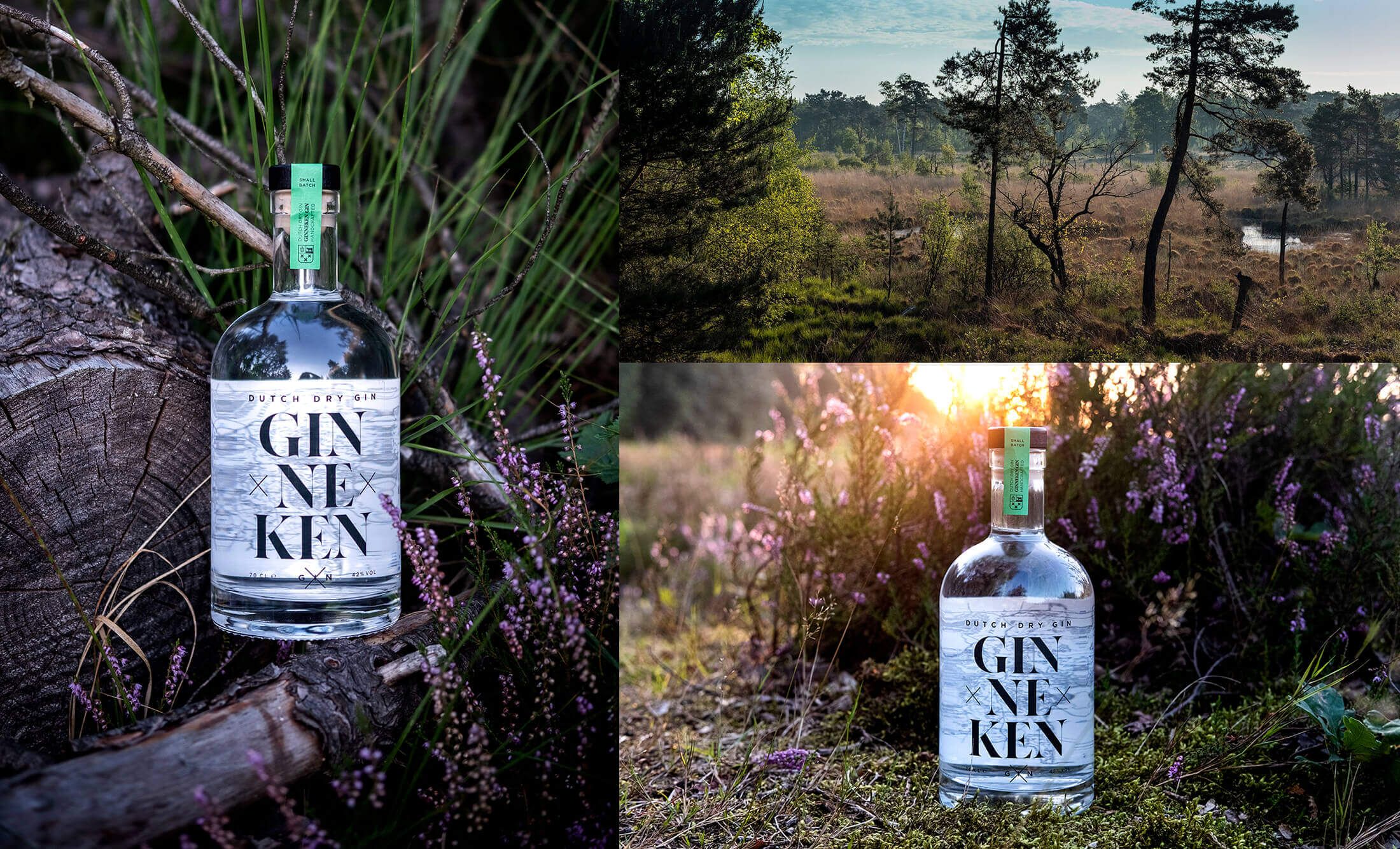 Gin Ken zit op gras in een weelderig bos. Ontdek meer over deze voortreffelijke drank op GinnekenGin.com.